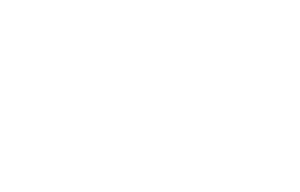 aidt white logo